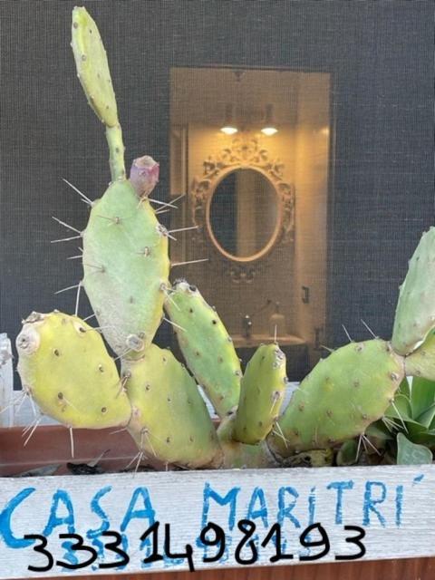 Casa Maritri Locazione Turistica Ξενοδοχείο Marzamemi Εξωτερικό φωτογραφία