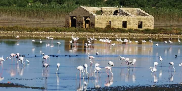 Casa Maritri Locazione Turistica Ξενοδοχείο Marzamemi Εξωτερικό φωτογραφία
